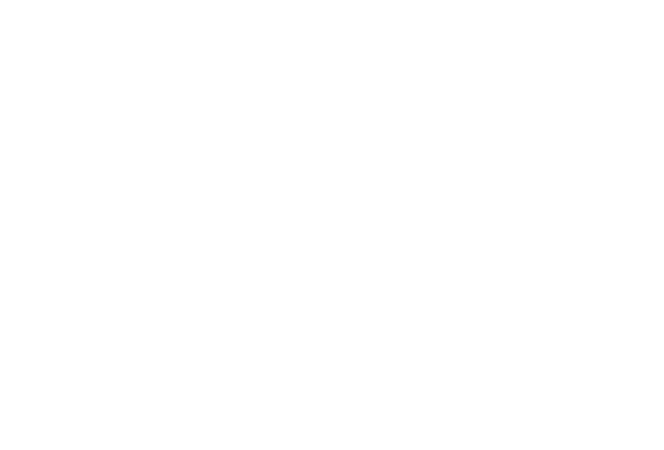 アクトシステムエンジニアリング株式会社