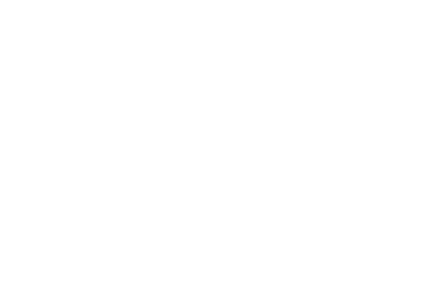 アクトシステムエンジニアリング株式会社